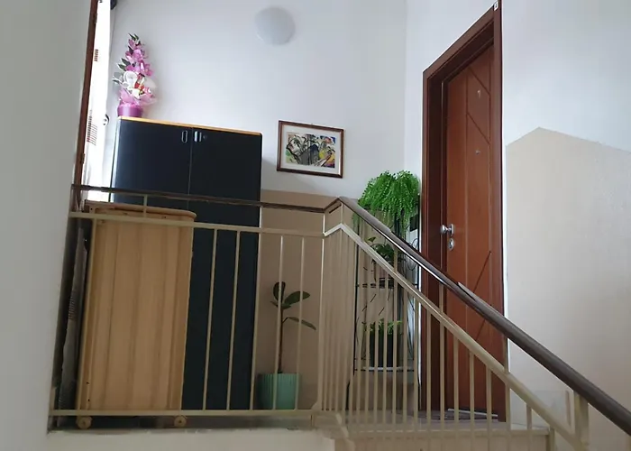 Casa Ciccio Vicino Unipol Arena Centro Bologna